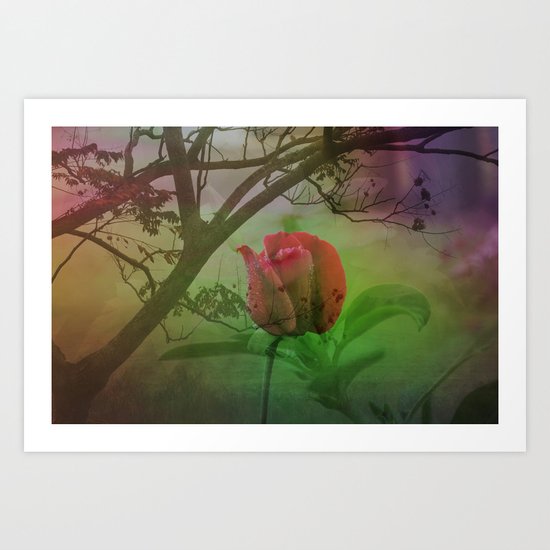 Dipped in Dew, Nestled by Nature Art Print