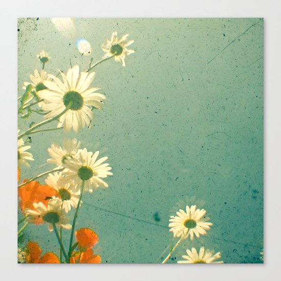 Daisy Canvas Print