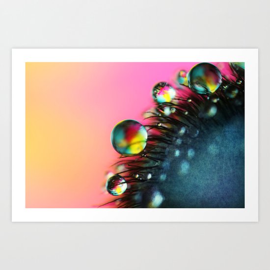 Poppy Drops II Art Print