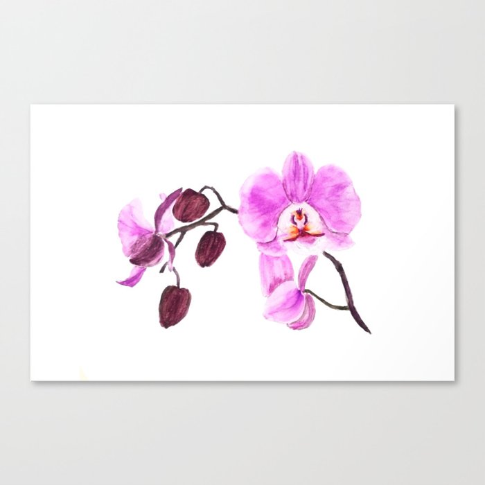 Pink Orchid Flower Watercolor Painting Canvas Print By