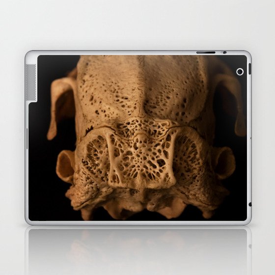 Rabbit Skull Laptop & iPad Skin