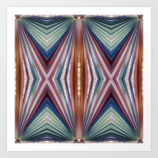 Fan palm Art Print