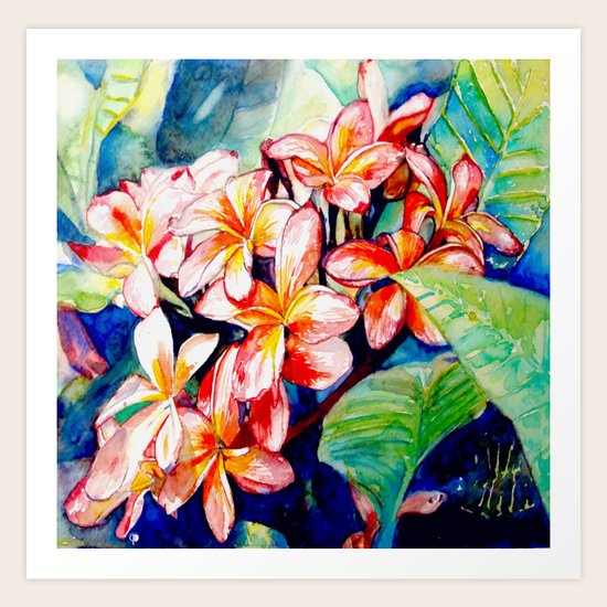 Plumeria Flowers Art Print