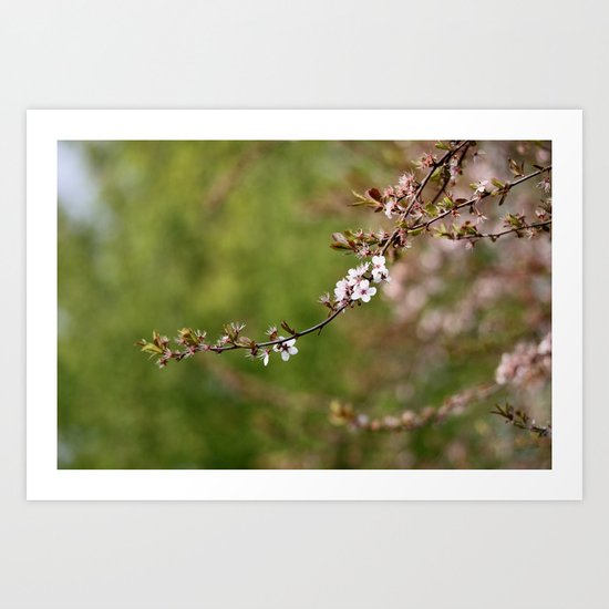 Blossom - JUSTART © Art Print