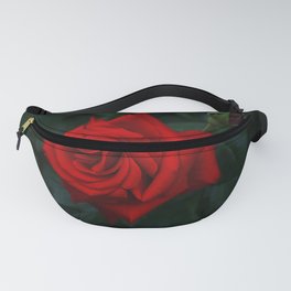 Beautiful Tango Red Rose Flower Fanny Pack