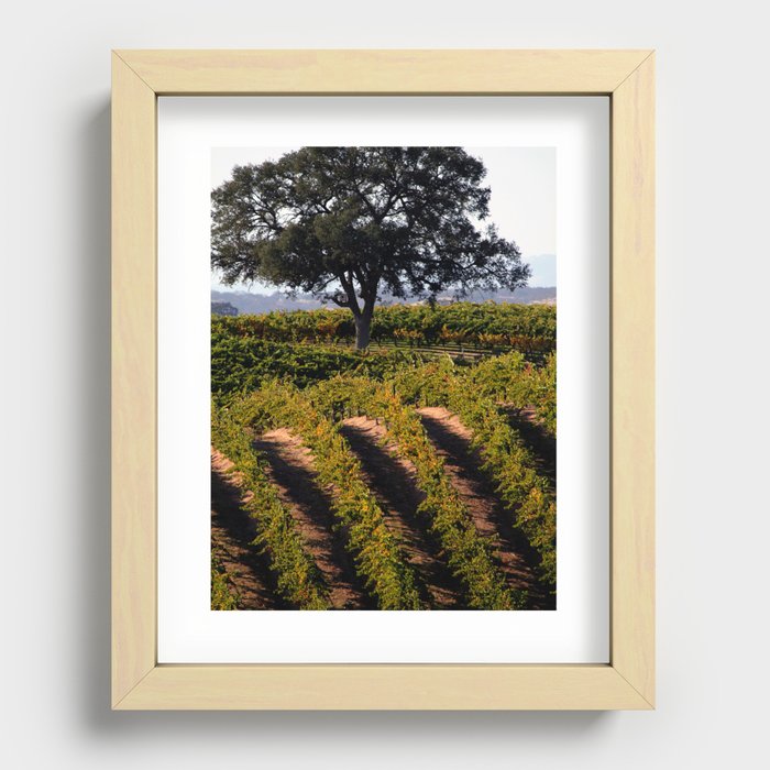 Paso Robles Vineyard Recessed Framed Print