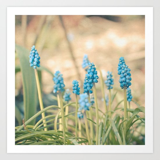 Forest of Blue Art Print