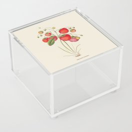 Strawberry Antique Botanical Illustration Acrylic Box