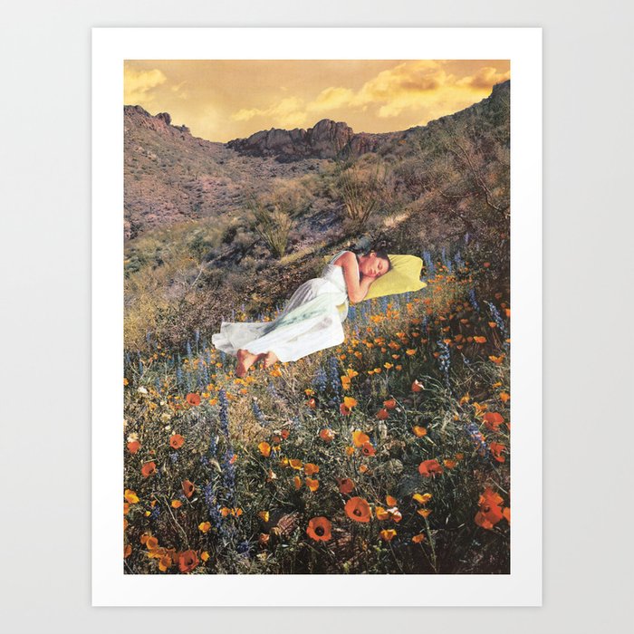 Discover the motif WILDFLOWERS by Beth Hoeckel  as a print at TOPPOSTER