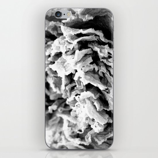 Black and White Dried Peony iPhone Skin