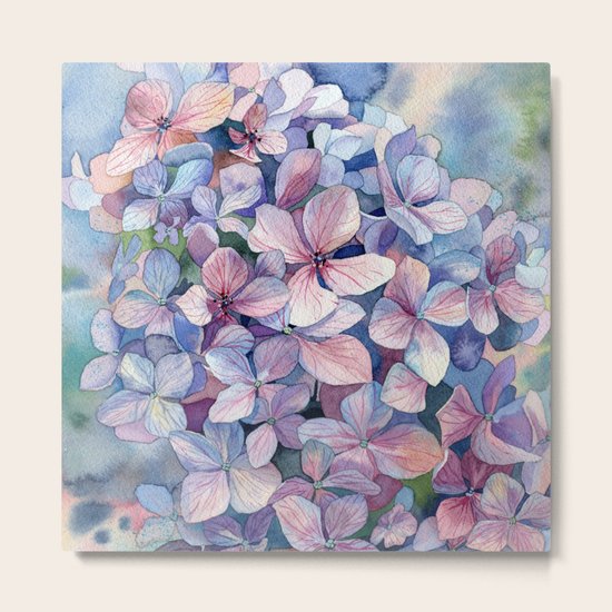 Hydrangea Metal Print