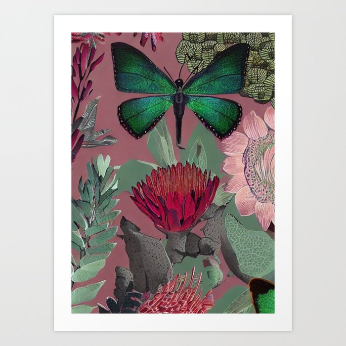 Butterfly and South African Garden Art Print