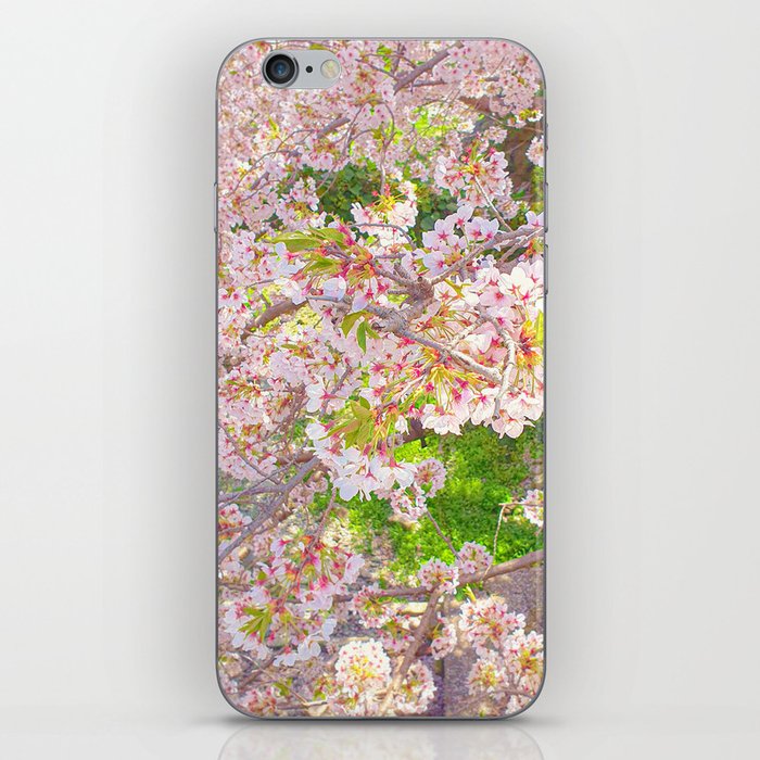 Jeju, Island, Spring, Cherry Blossom, Pink iPhone Skin