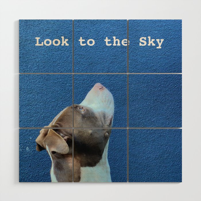 Look to the Sky Wood Wall Art