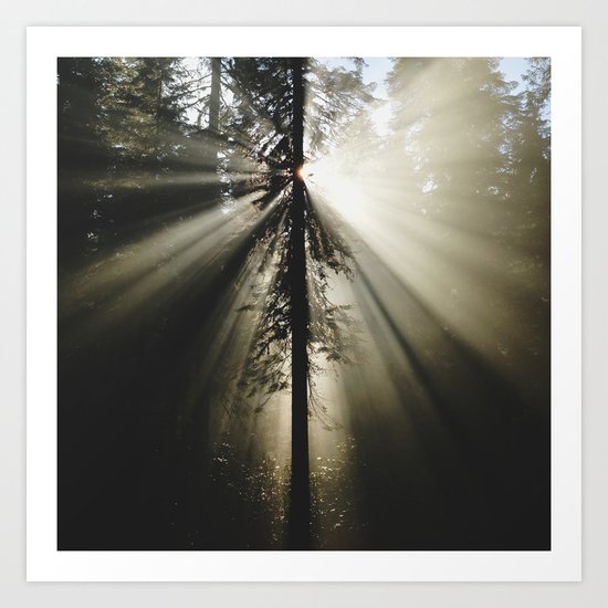 Umpqua Rays Art Print