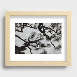 Tradition Recessed Framed Print