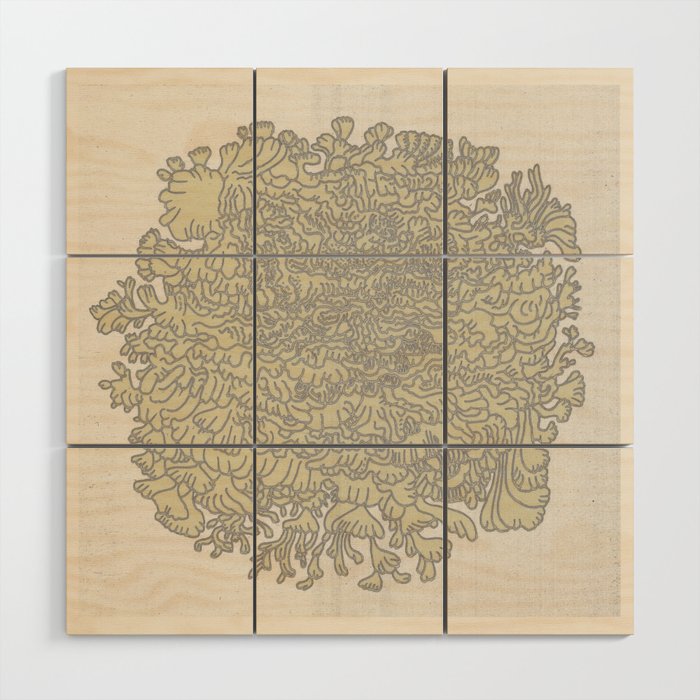 Nature Study in Abstract Wood Wall Art