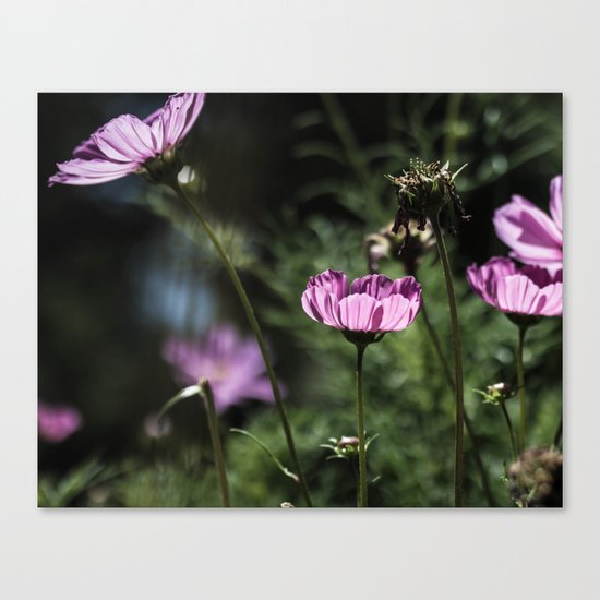 Glowing Petals Canvas Print