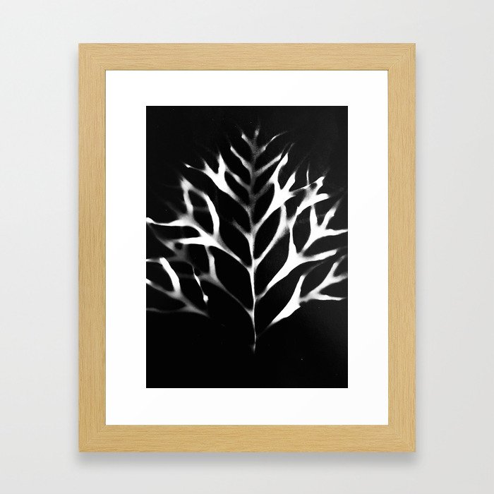 Grevillea Leaf Photogram Framed Art Print