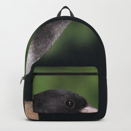 Dark-Eyed Junco Backpack | Black, Junco, Photo, Scappooseor, Pink, Oregon, Nature, Brown, Green, Digital 