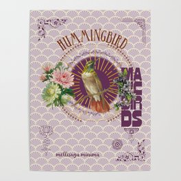 Hummingbird-Magic Birds Poster