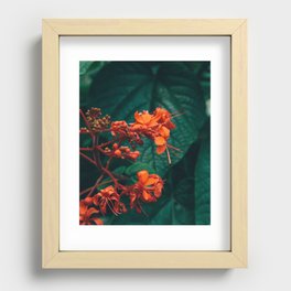 Tropical Plant Recessed Framed Print