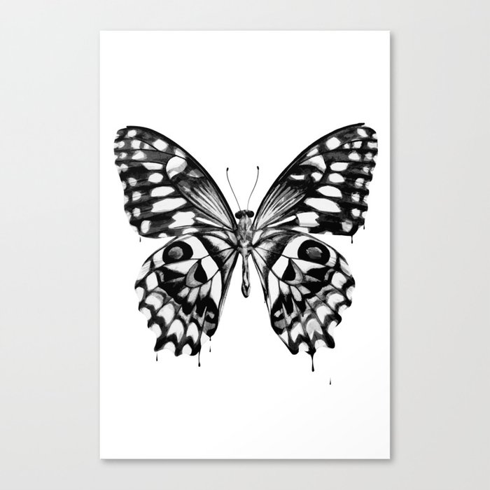 black butterfly Canvas Print