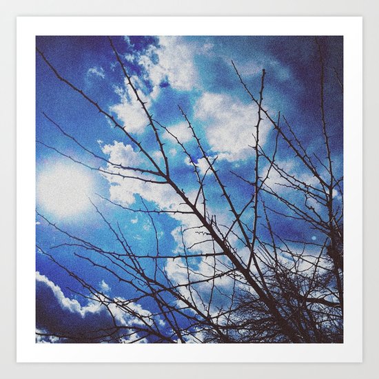 Thorns on blue Art Print