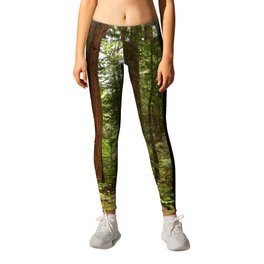 Walking Through The Muir Woods Leggings