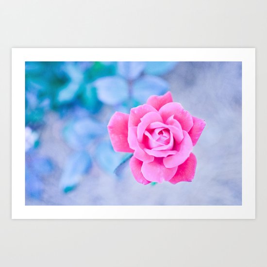 Lovely in Pink Art Print