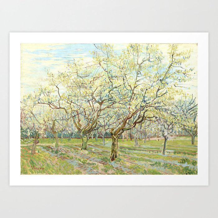 Vincent Van Gogh The White Orchard 1888 Art Print