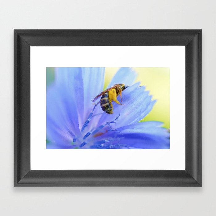 Bee  Framed Art Print