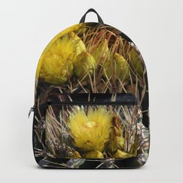 Mexico Photography - Beautiful Barrel Cactus Up-Close Backpack