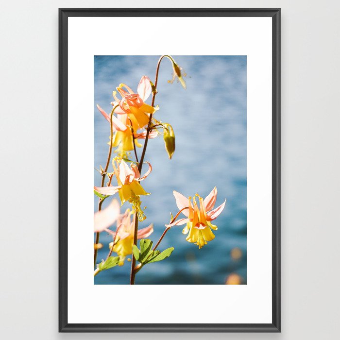 Wildflowers in Idaho - Nature Photography Framed Art Print