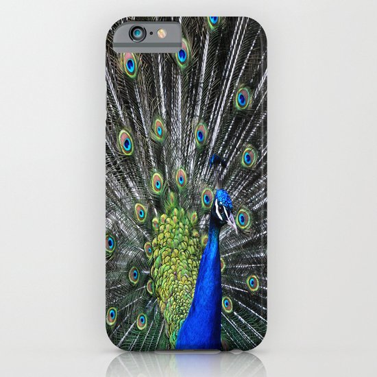 Peacock iPhone & iPod Case