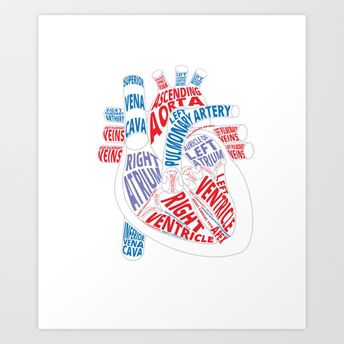 Parts of heart product Anatomical heart Gift for cardiologist Art Print