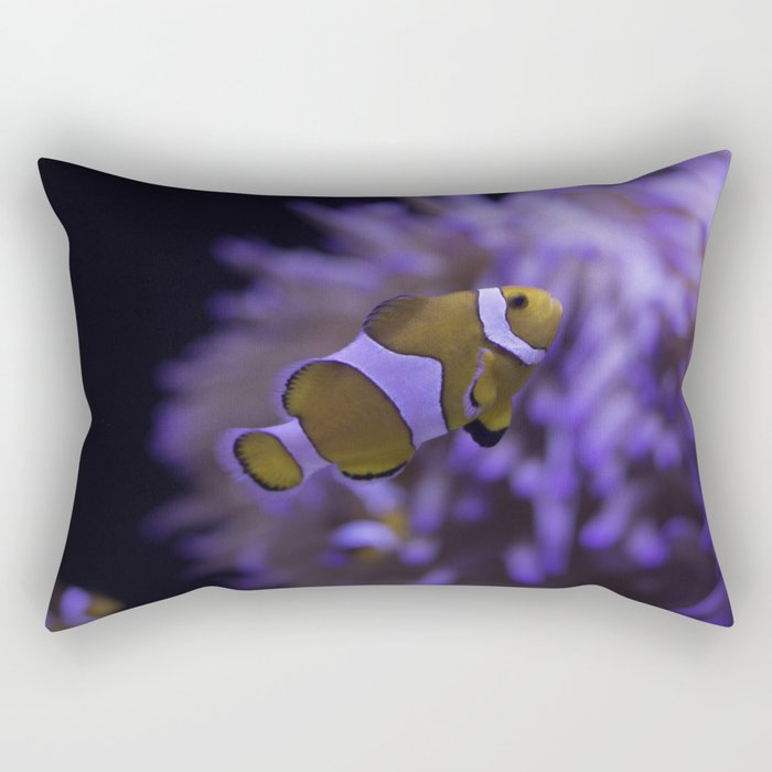 nemo pillow pet