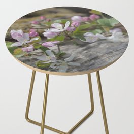 Delicate Apple Blossom In Spring  Side Table