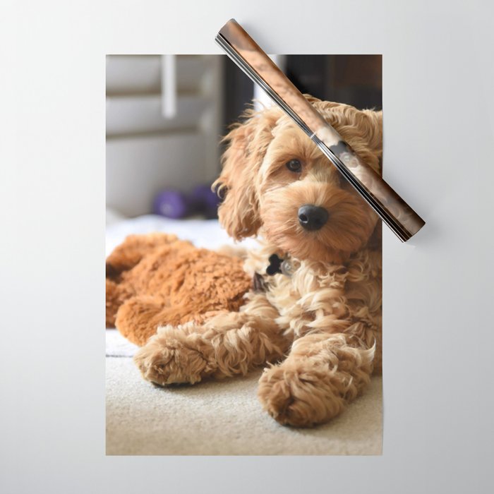 Young Cute Cockapoo Poodle Cocker Spaniel Wrapping Paper