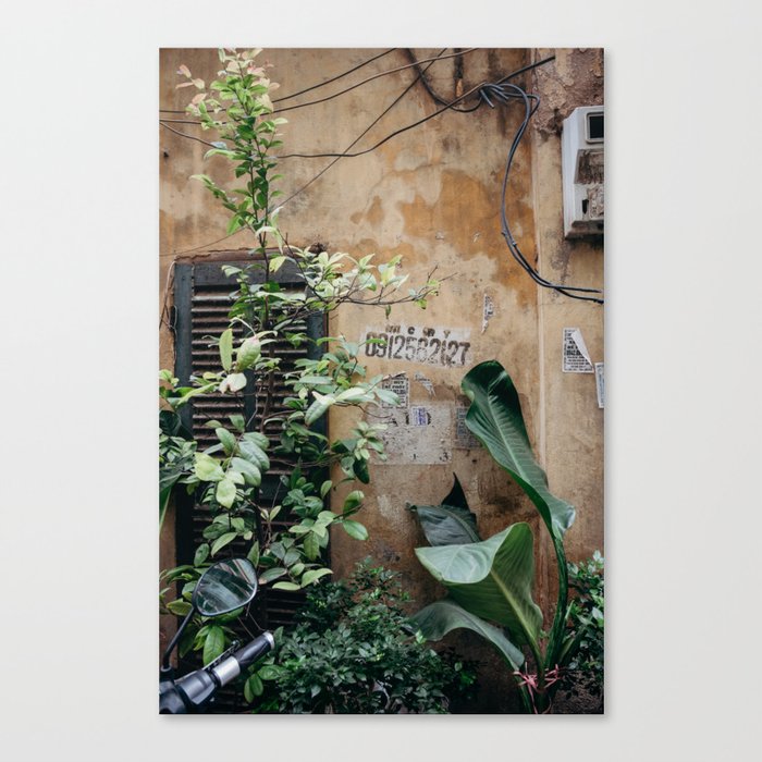 Tropical Alley Vibes Canvas Print