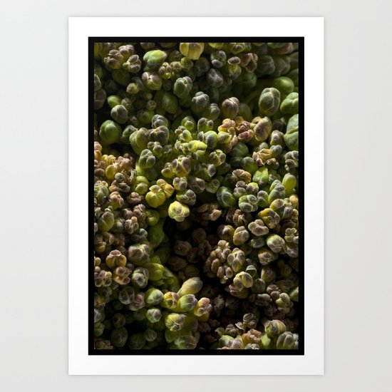 SPROUT #1 Art Print