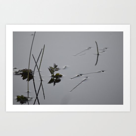Surface Tension Art Print