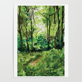 lush forest Poster