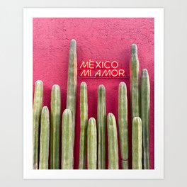 Mexico Mi Amor Art Print