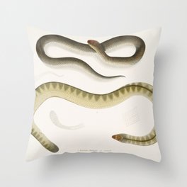 Penang Hypserina & Hardwicke's Short Sea Snake Throw Pillow