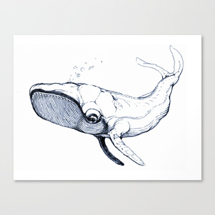 whale Canvas Print