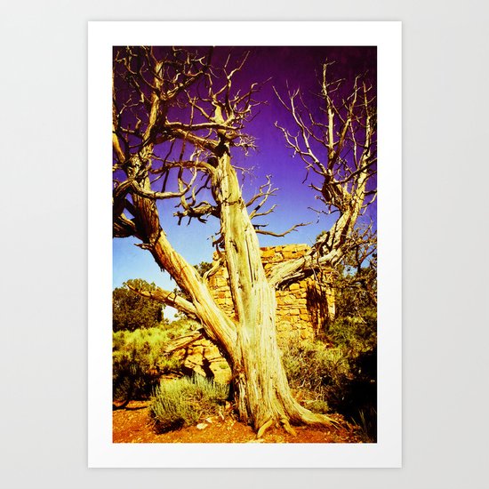 History Art Print