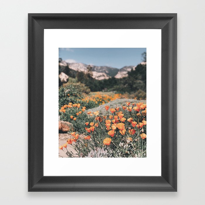 California Poppies // Santa Barbara, CA Framed Art Print