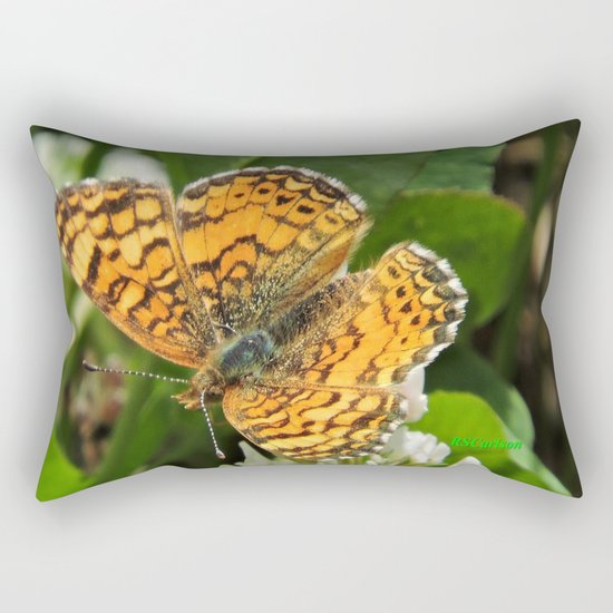 A Mylitta Crescent Butterfly at Rest Rectangular Pillow