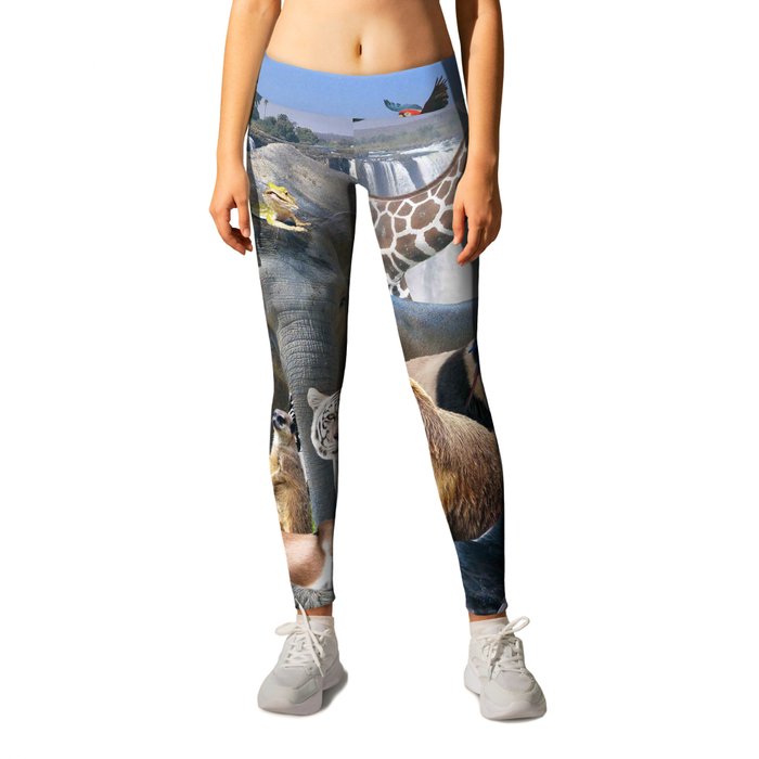 Animal Animals Rainbow Waterfall Group Scene Leggings